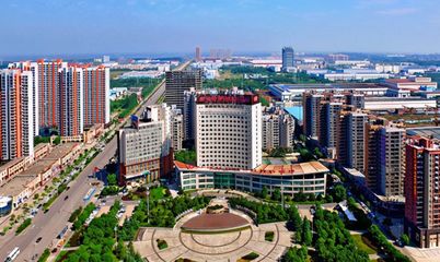 武汉市新洲区人民政府土地征收公告 阳逻邱栗村被征收0.5233公顷